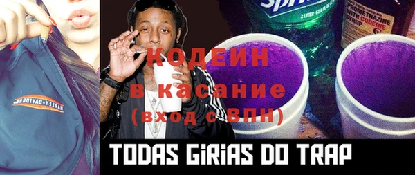 PSILOCYBIN Вуктыл