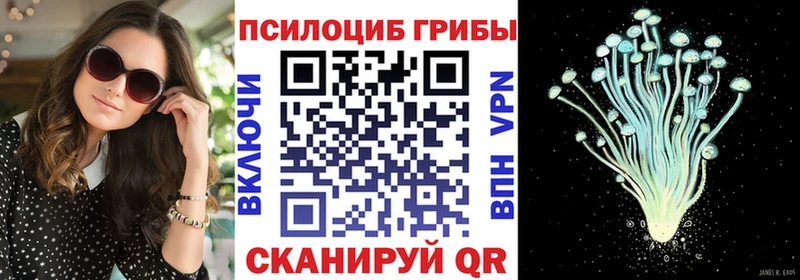 где купить Кирс KRAKEN зеркало Галлюциногенные грибы MAGIC MUSHROOMS